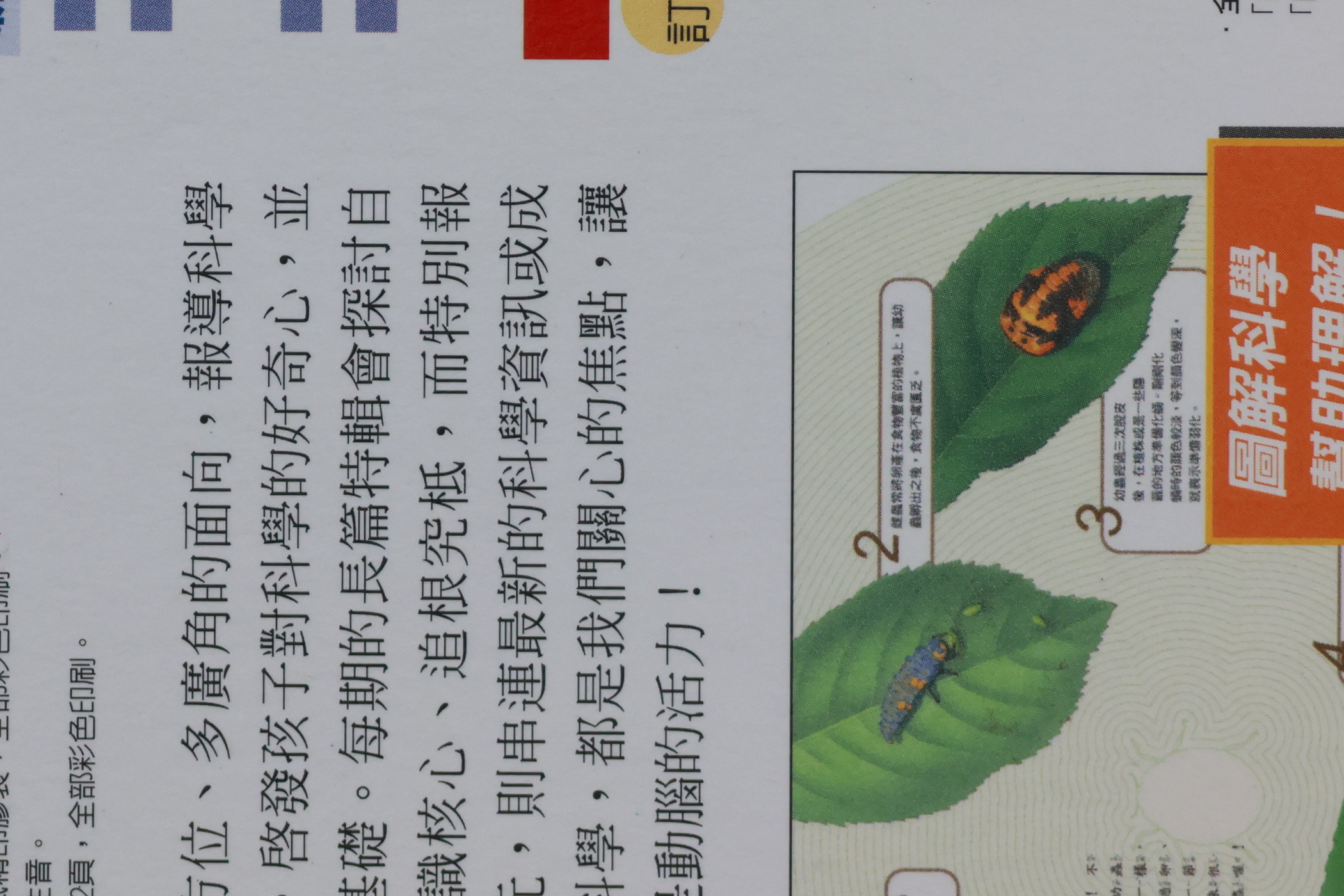 長焦鏡頭畫質PK：Canon EF 400mm vs Tamron 100-400mm、 Tamron 150-600mm