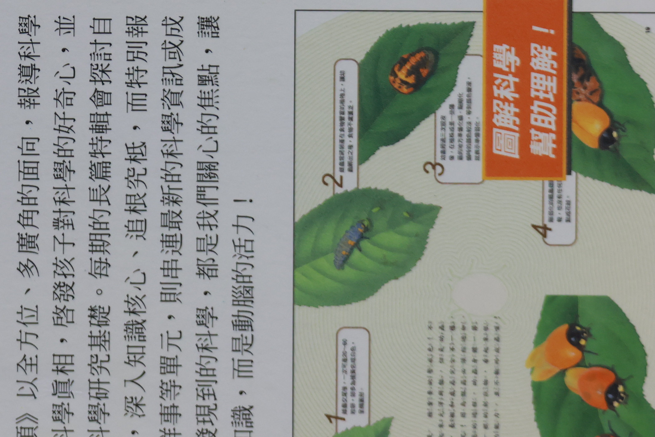 長焦鏡頭畫質PK：Canon EF 400mm vs Tamron 100-400mm、 Tamron 150-600mm